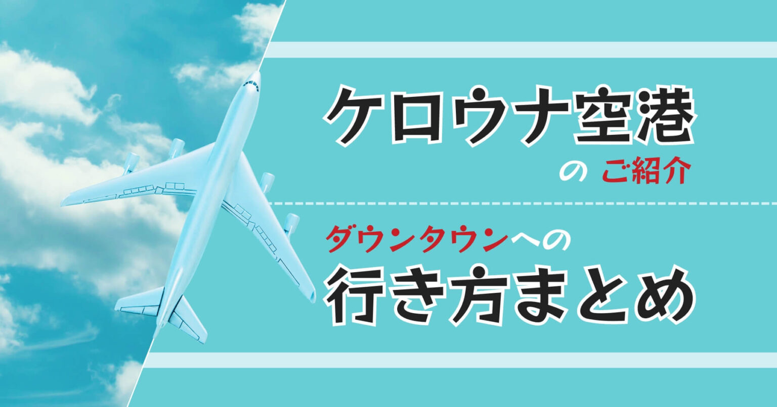 ケロパックスのリーフレット