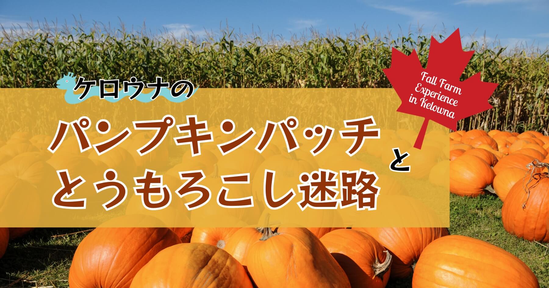 ケロウナのパンプキンパッチ・とうもろこし畑迷路