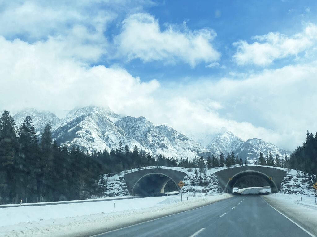 雪が残るロッキー山脈のドライブ