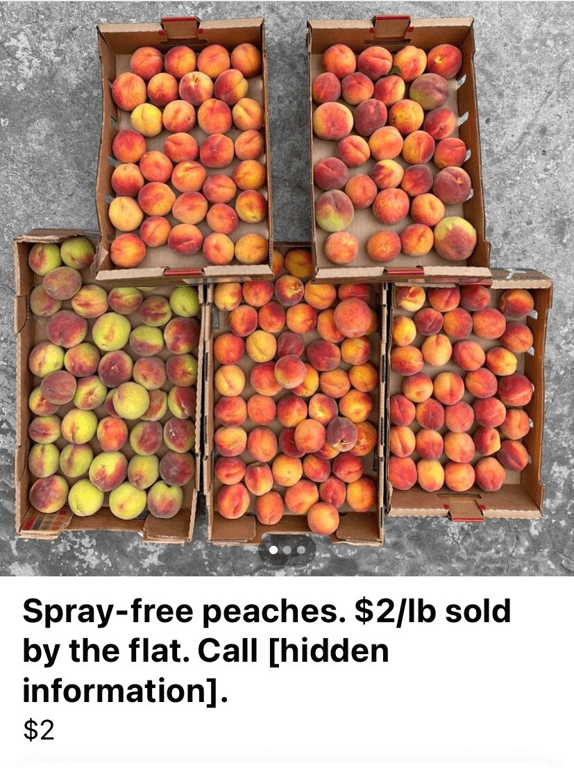 フルーツ天国オカナガン！ケロウナでフルーツ狩り(Upick)・フルーツスタンドまとめ ケロウナ info.jp