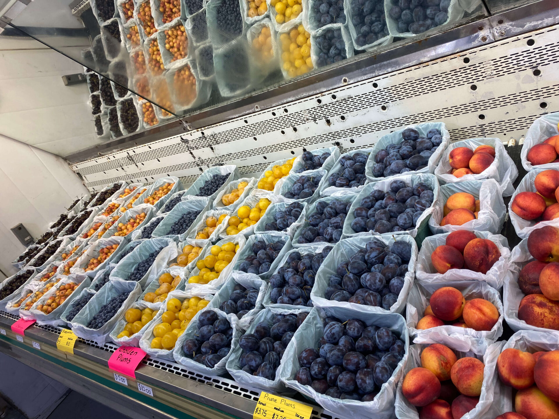 フルーツ天国オカナガン！ケロウナでフルーツ狩り(Upick)・フルーツスタンドまとめ ケロウナ info.jp