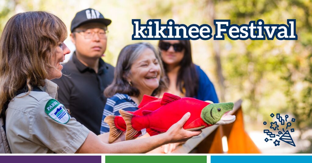 kikinee Festival Flyer