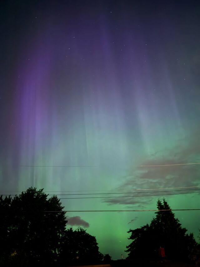 2025年5月31日(土)の夜にケロウナの街から見えた、オーロラの写真をまとめました✨！No filter, No editingです！

この週は何度かオーロラ予報が出ていたのですが、意外に天気が悪かったりタイミングが合わずで見られず…。この日は23:30頃から北の空に出始め、0:30頃に一瞬ピークを迎えたあとは見られなくなってしまいました。

街灯の明るい住宅街でもこんなに綺麗なオーロラ、光のカーテンが見られるなんてすごいですよね🦄

オーロラ予測のアプリを入れておくと見逃しませんよ♪(しょっちゅう通知が来るので、逆に無視してしまうことも😂)

神秘的なオーロラ、皆さんがケロウナに滞在中に、また出てくれますように！

📍Kelowna, BC

【ケロウナ現地情報発信中🍎】
ケロウナの情報ブログはプロフのリンクから👇
@kelownainfo_jp
https://kelownainfo.jp

.
.
.

#ケロウナ #ケロウナ生活 #ケロウナ観光 #ケロウナ留学 #ケロウナワーホリ #kelowna #kelownabc #okanagan #britishcolumbia #カナダ #northernlights #オーロラ